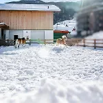 Апартаменти Martinus *