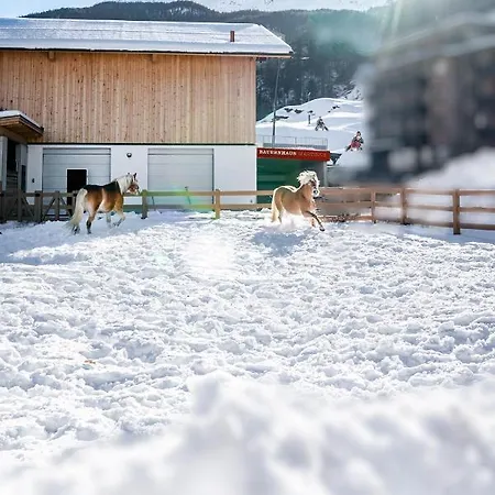 Apartment Martinus *